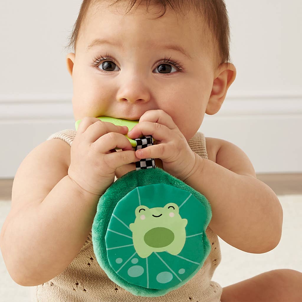 Sweetie Crinkle Teether - Frog