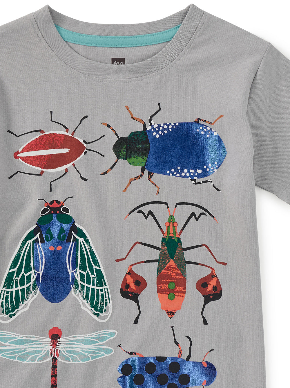 Graphic Tee - Insect Assortment FINAL SALE
