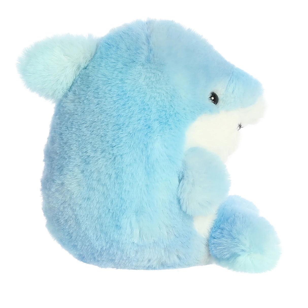 Rolly Pets Sutton Shark