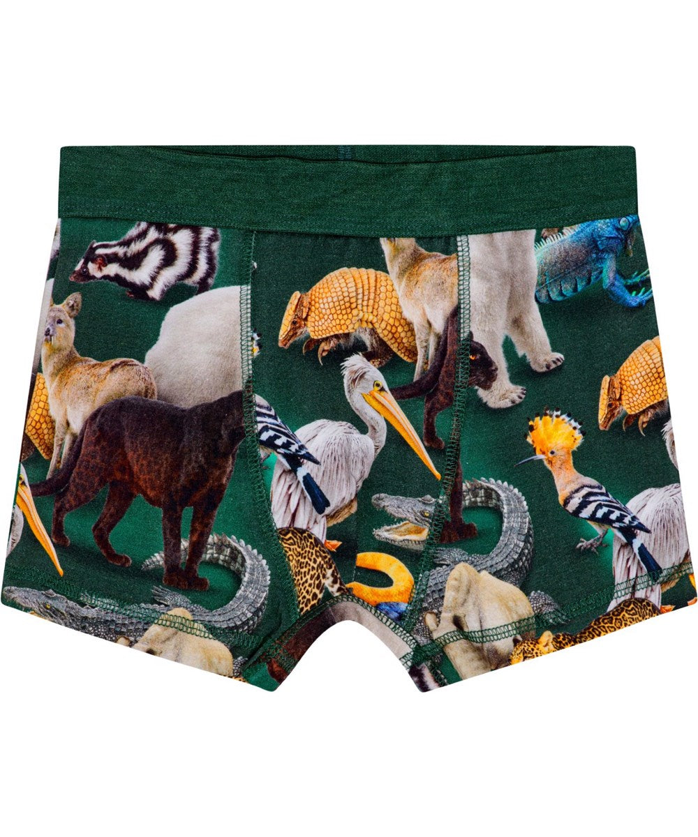 Molo Justin Boxer Briefs Set - Ponderosa Mix FINAL SALE