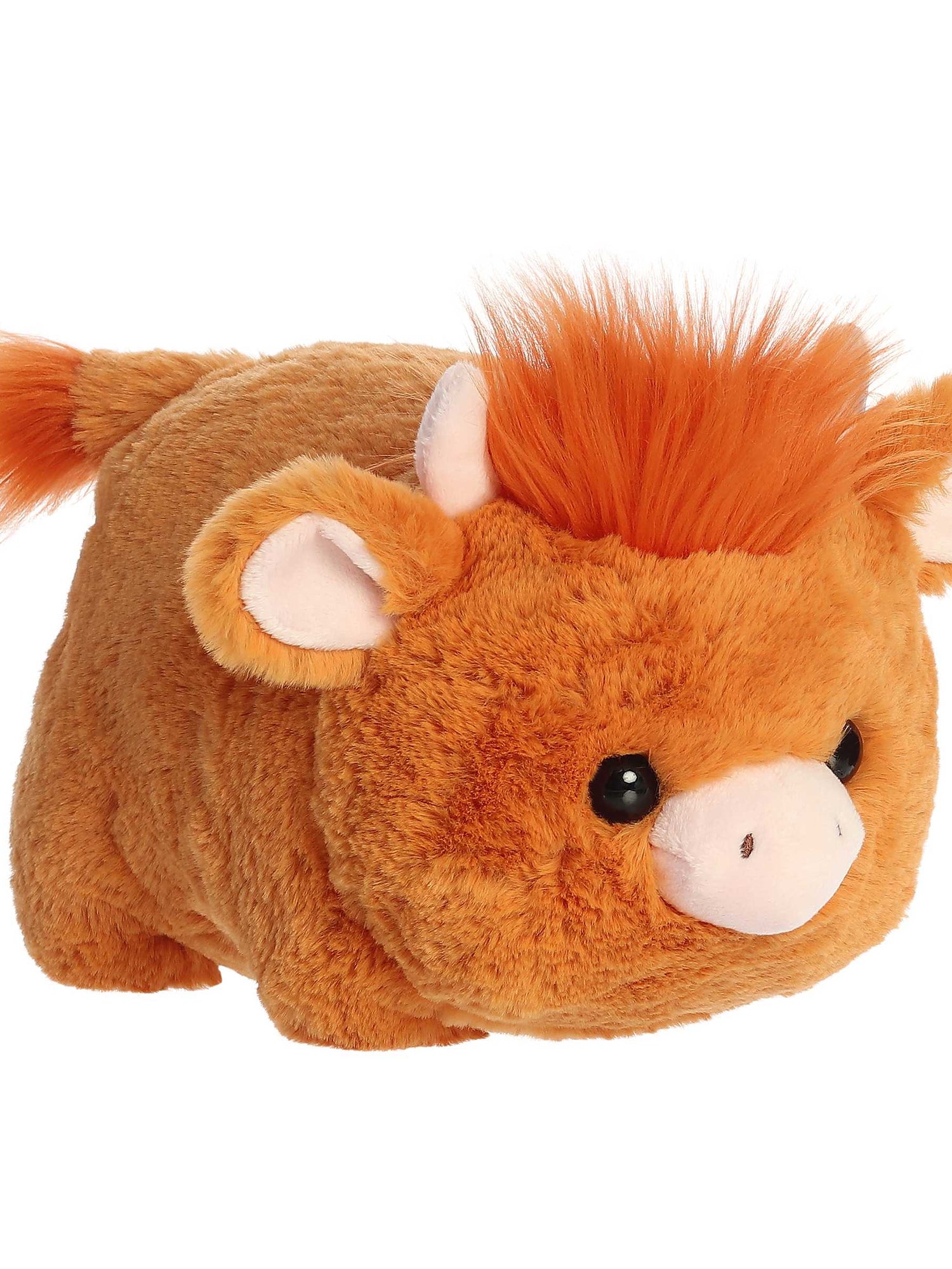 Spudsters Hamish Highland Cow
