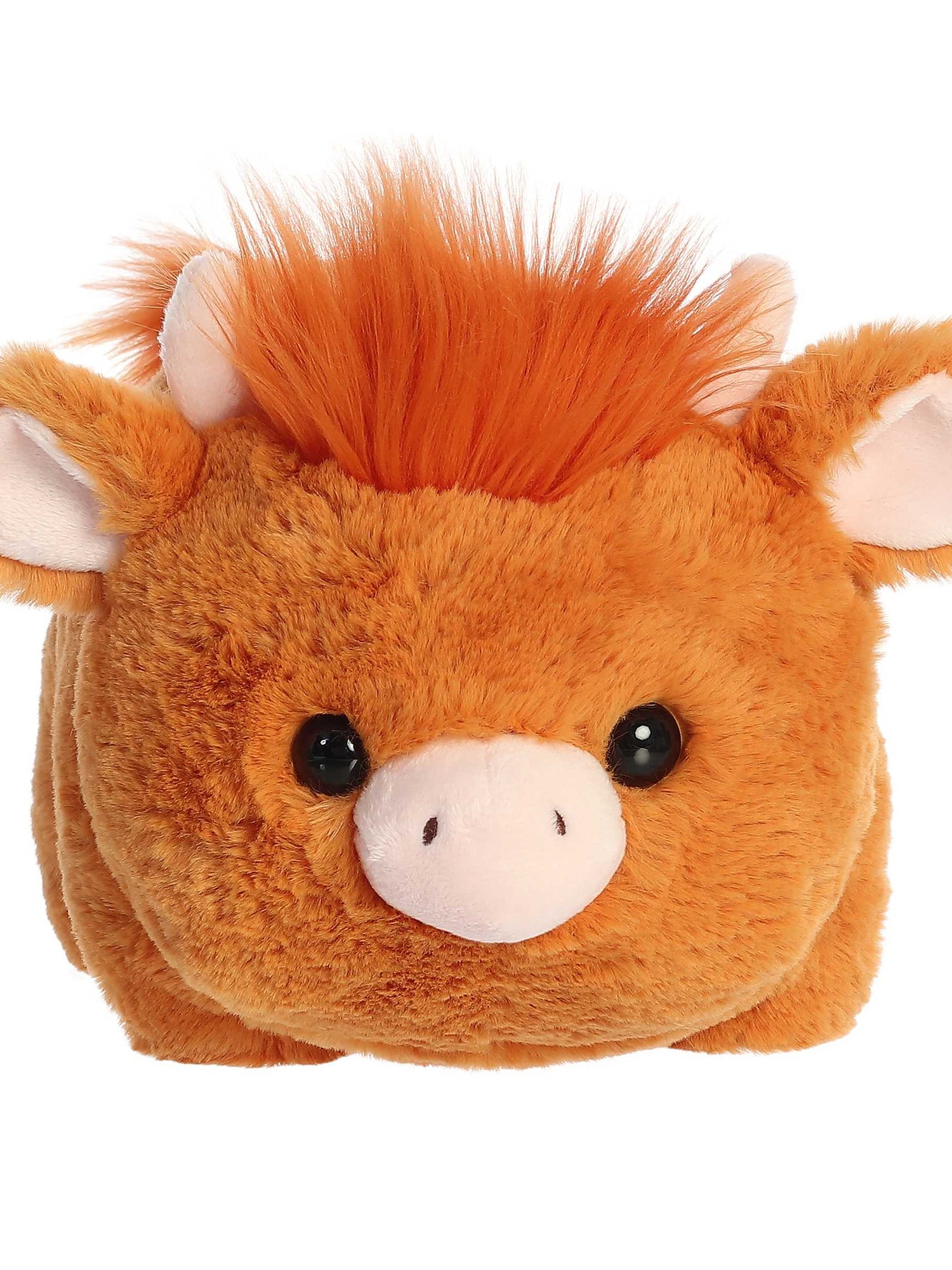 Spudsters Hamish Highland Cow