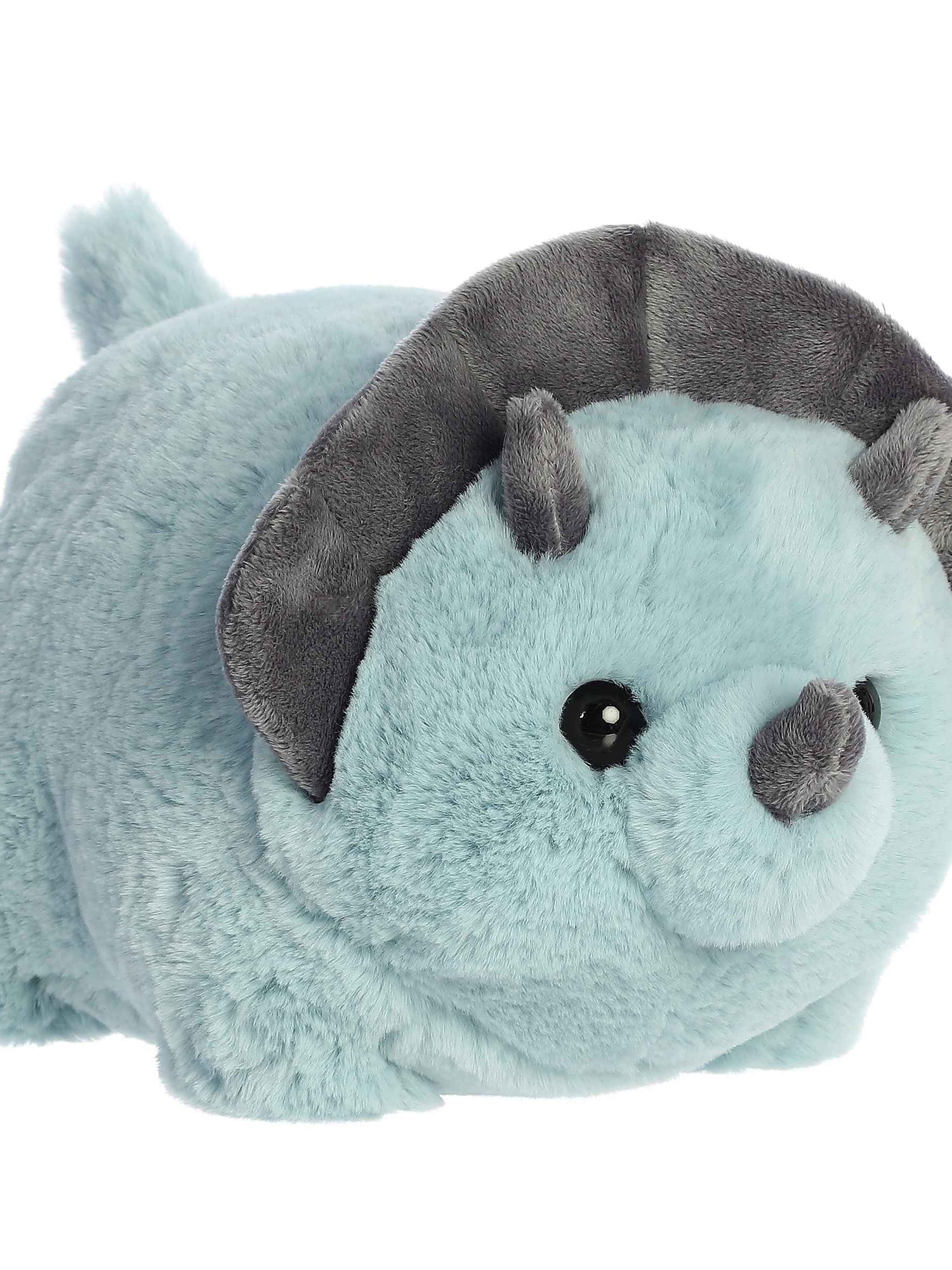 Spudsters Taren Triceratops