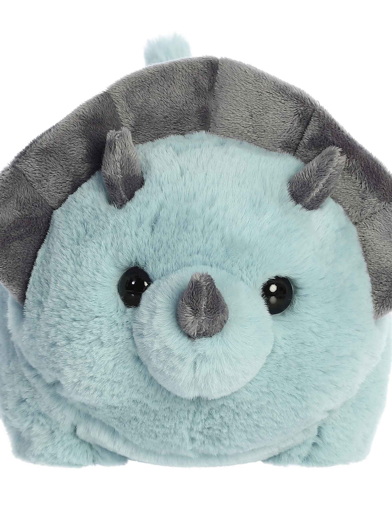 Spudsters Taren Triceratops