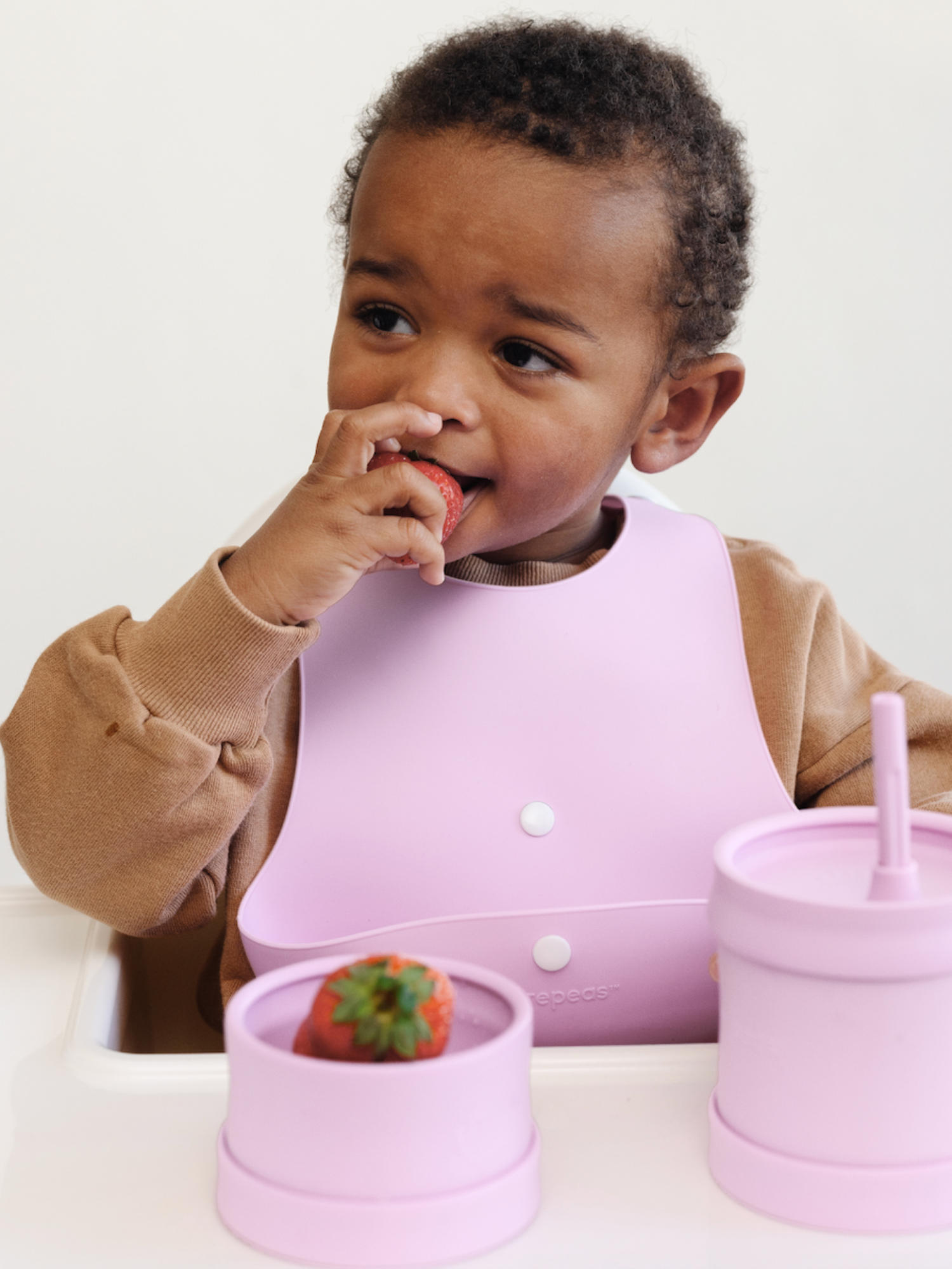 Roll & Snap Bib - Lilac