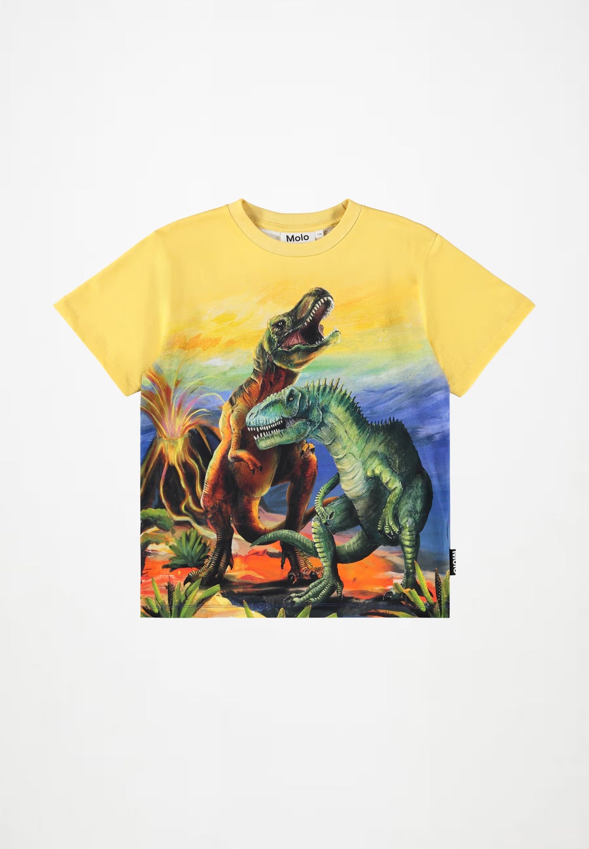 Molo Riley Tee - Dino Art