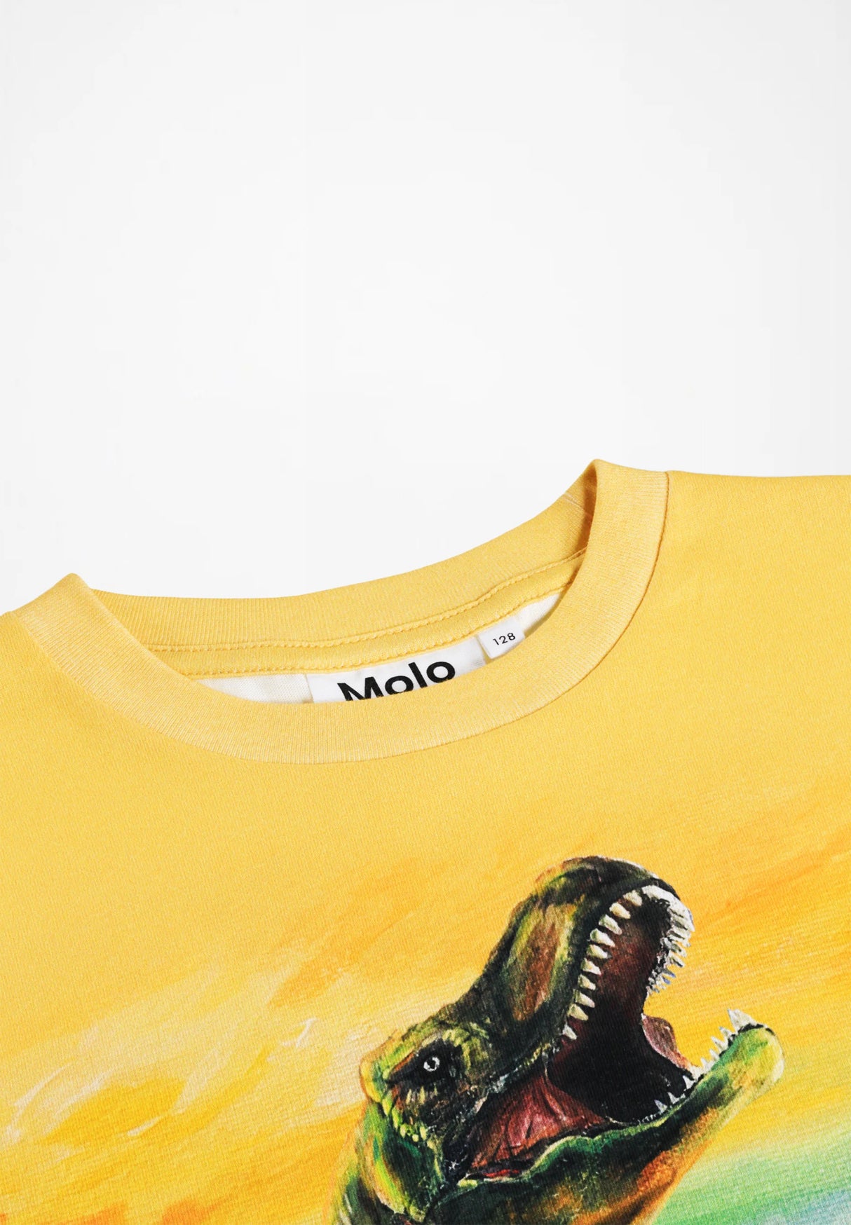 Molo Riley Tee - Dino Art