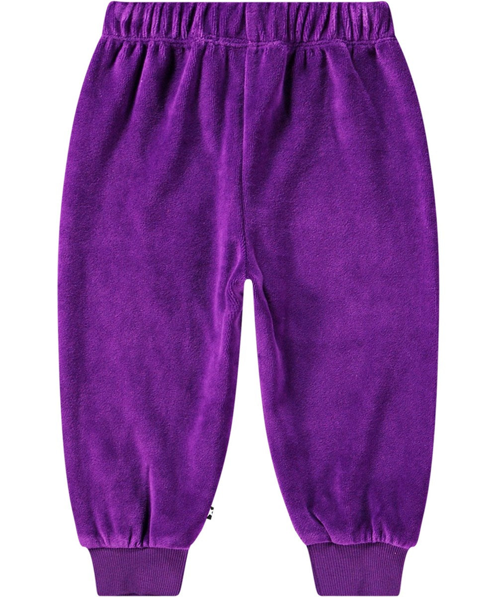 Molo Simeon Velour Joggers - Warm Purple FINAL SALE