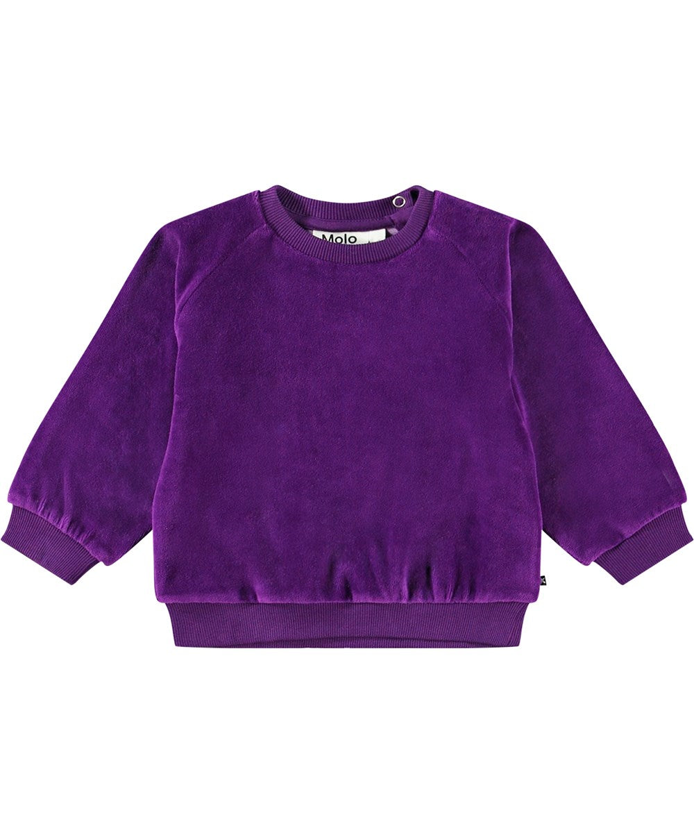 Molo Disc Pullover - Warm Purple FINAL SALE