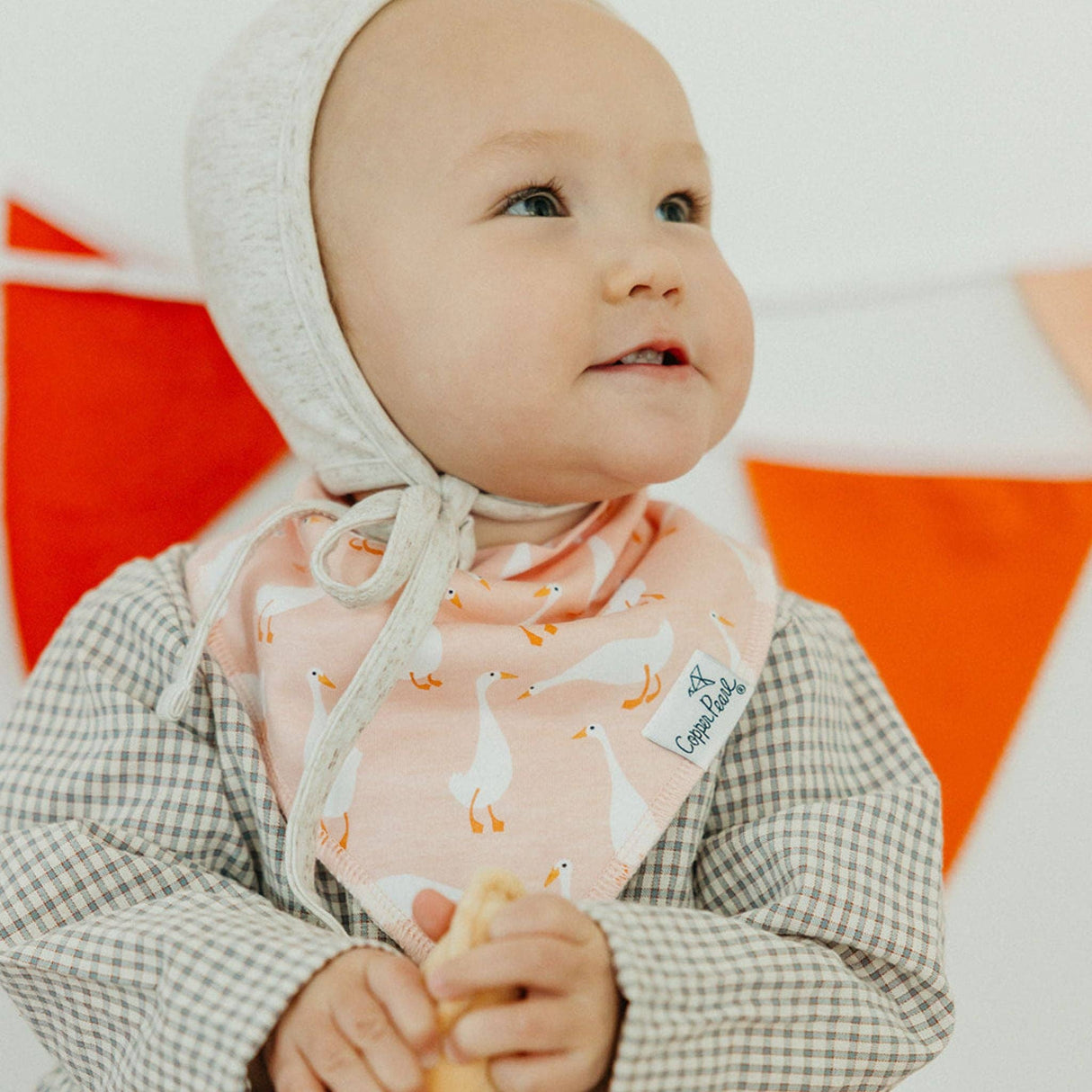 Baby Bandana Bibs - Goosie