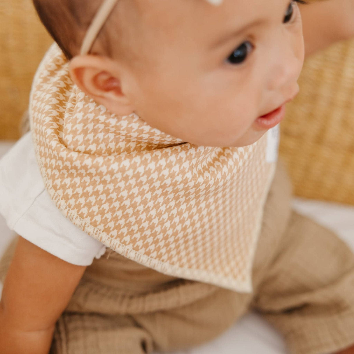 Baby Bandana Bibs - Eden