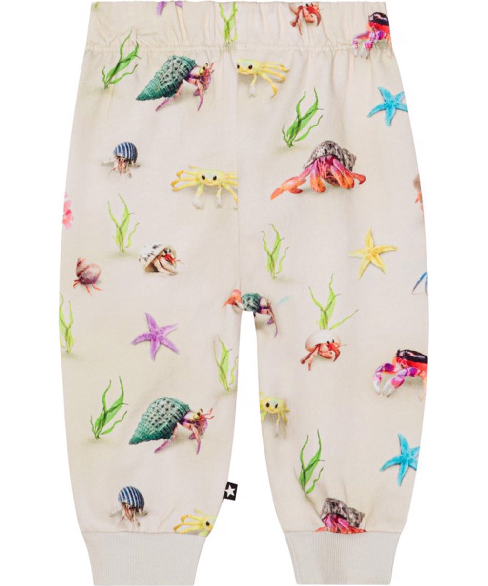 Molo Simeon Joggers - Hermit Crab FINAL SALE