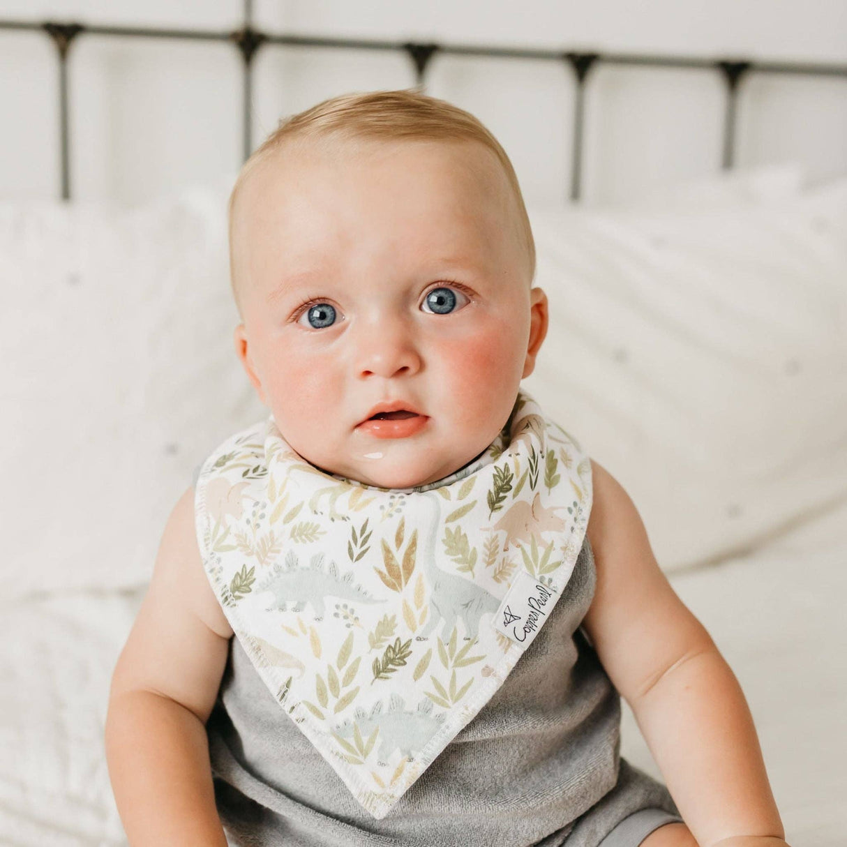 Baby Bandana Bibs - Rex