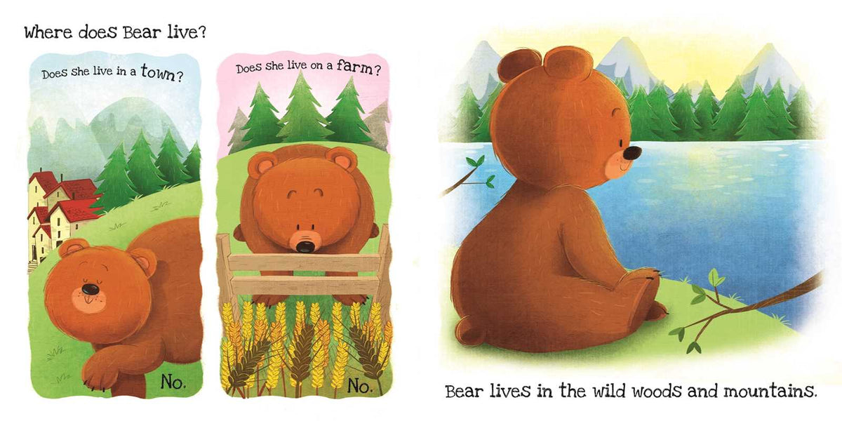 What Does Bear Like?