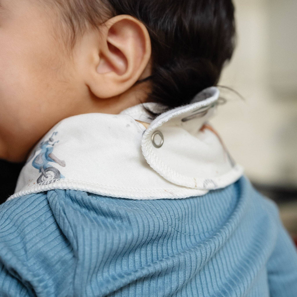 Baby Bandana Bibs - Ryder