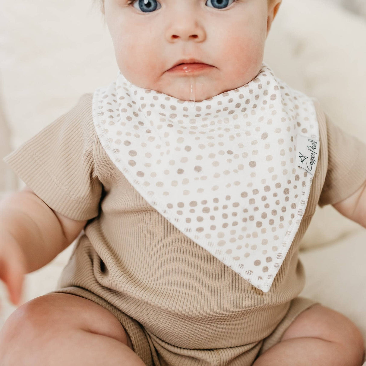Baby Bandana Bibs - Bliss