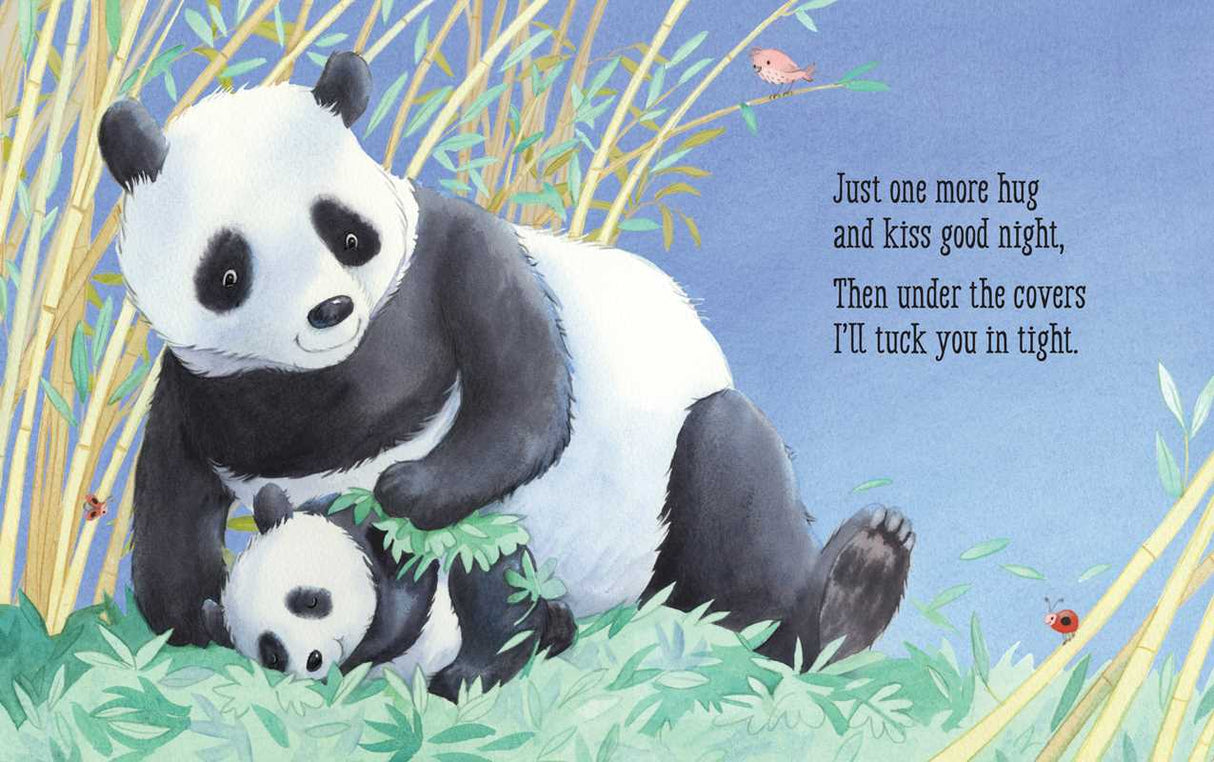 Good Night, Baby Bear