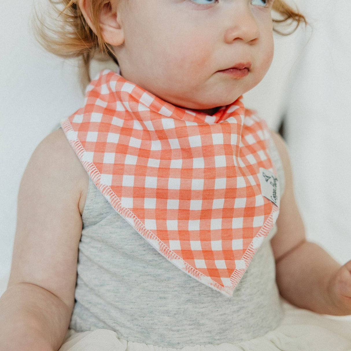 Baby Bandana Bibs - Goosie