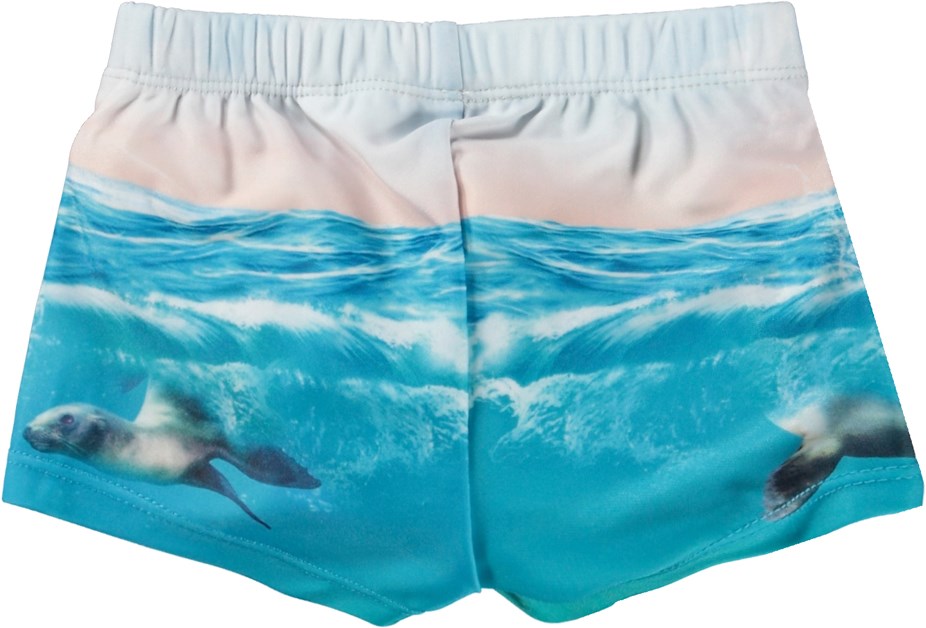 Molo Nansen Swim Shorts - Sea Lion FINAL SALE