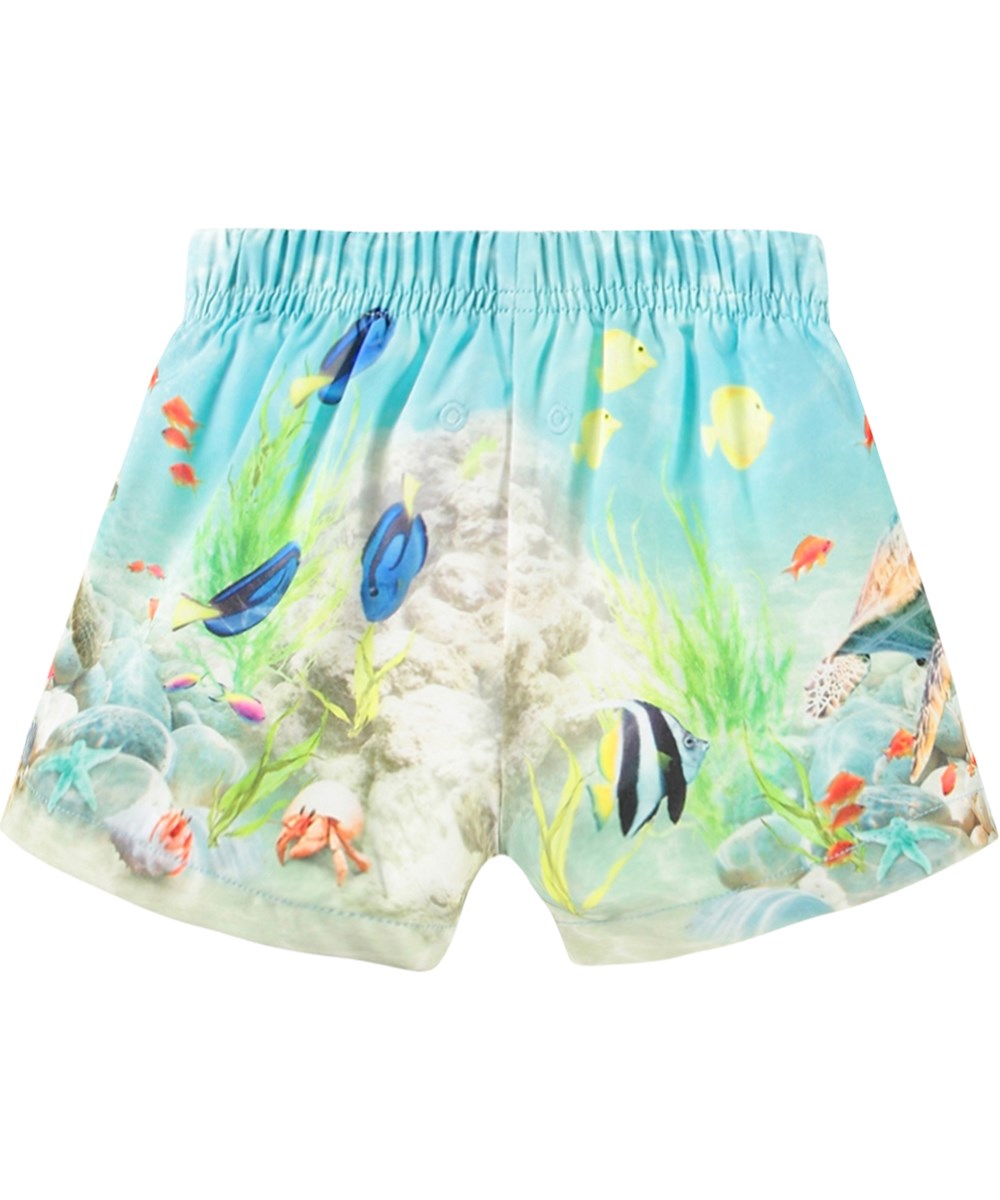 Molo Newton Swim Shorts - Happy Ocean FINAL SALE