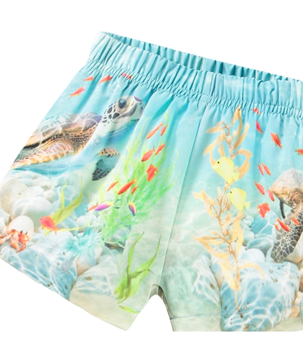 Molo Newton Swim Shorts - Happy Ocean FINAL SALE
