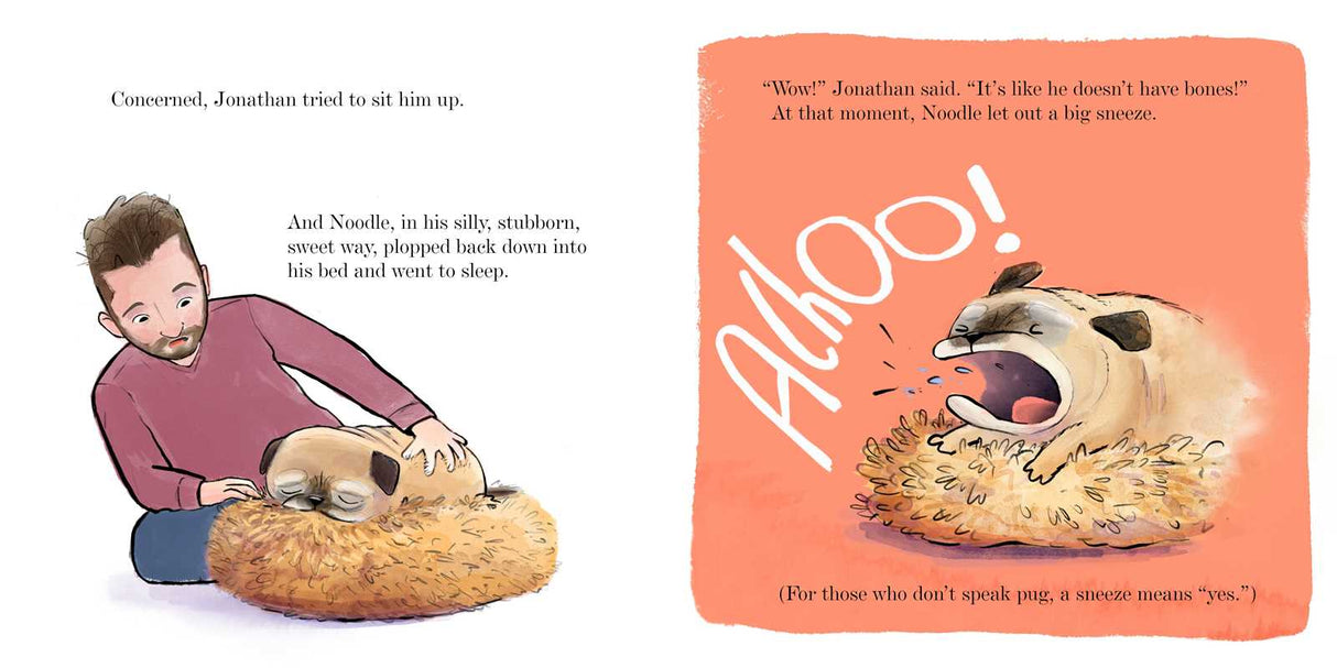 Noodle and the No Bones Day