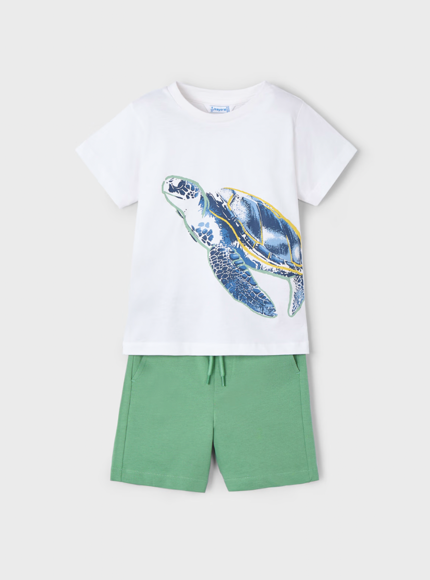 Graphic Tee and Shorts - Sea Turtle FINAL SALE