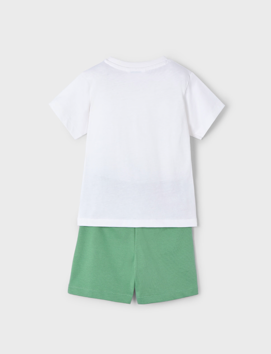 Graphic Tee and Shorts - Sea Turtle FINAL SALE