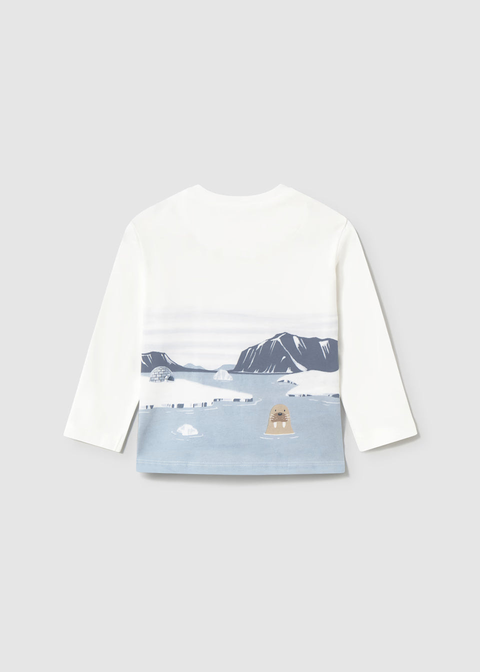 Graphic Tee - Arctic Scene