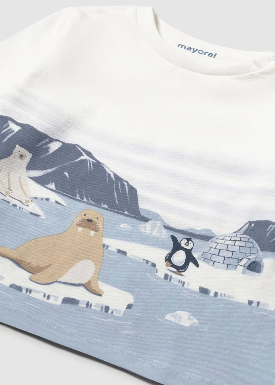 Graphic Tee - Arctic Scene