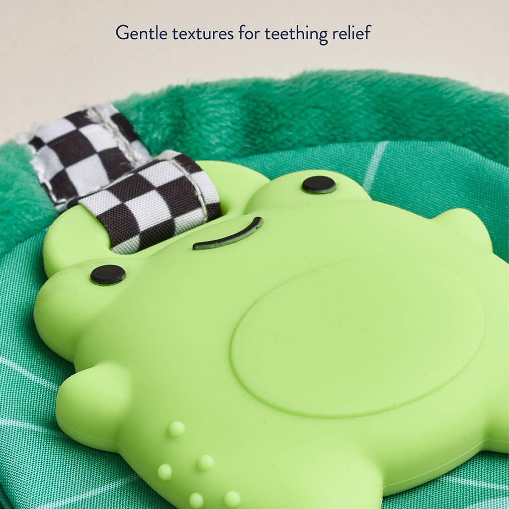 Sweetie Crinkle Teether - Frog