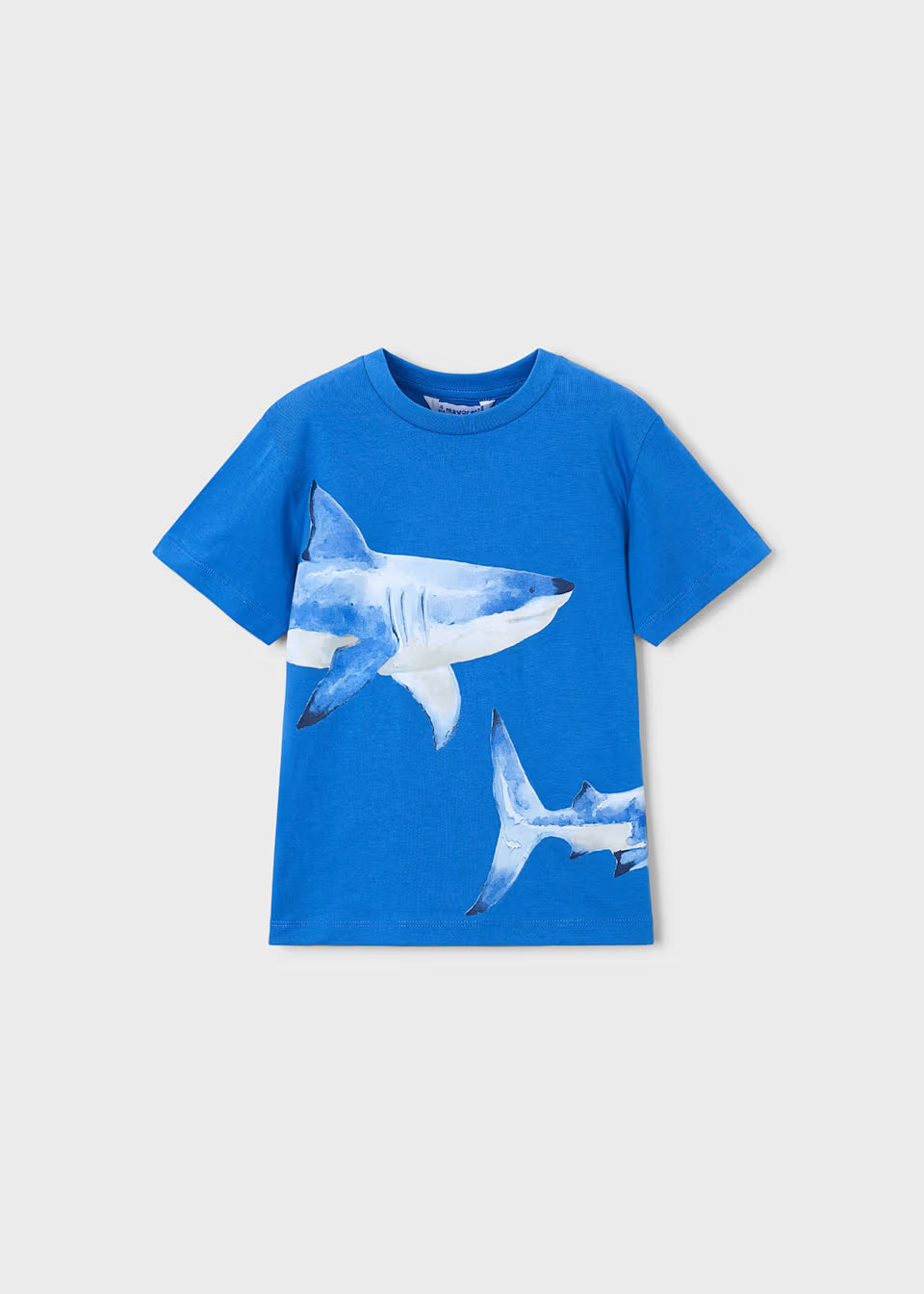 Graphic Tee - Sharks