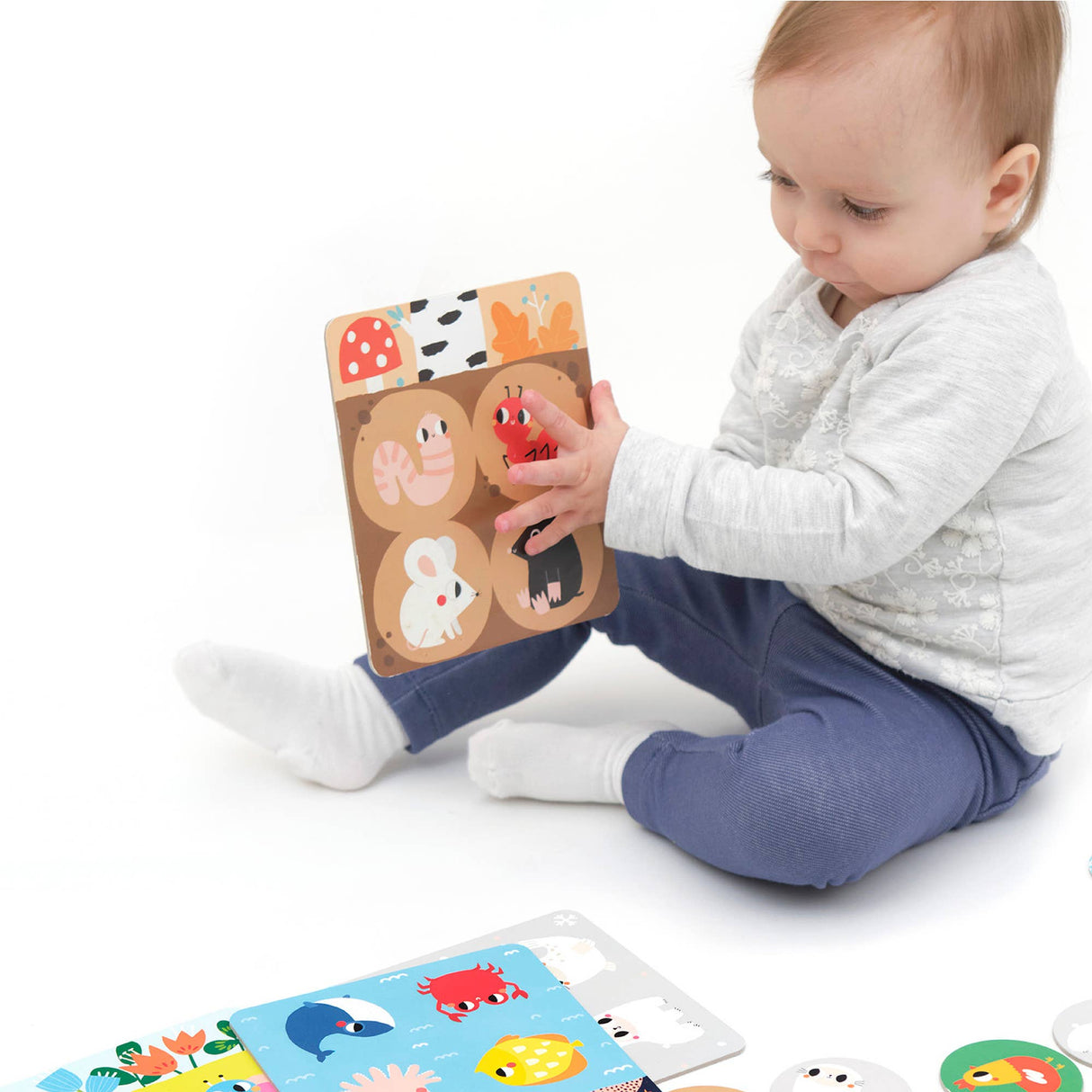 Let’s Play Habitat Bingo