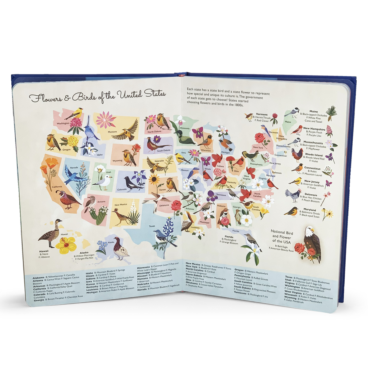 America the Beautiful