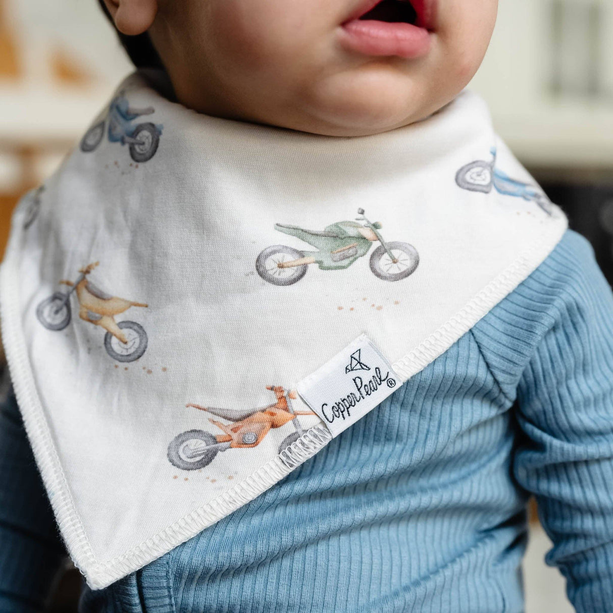 Baby Bandana Bibs - Ryder