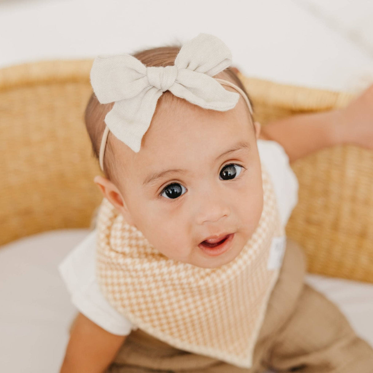 Baby Bandana Bibs - Eden