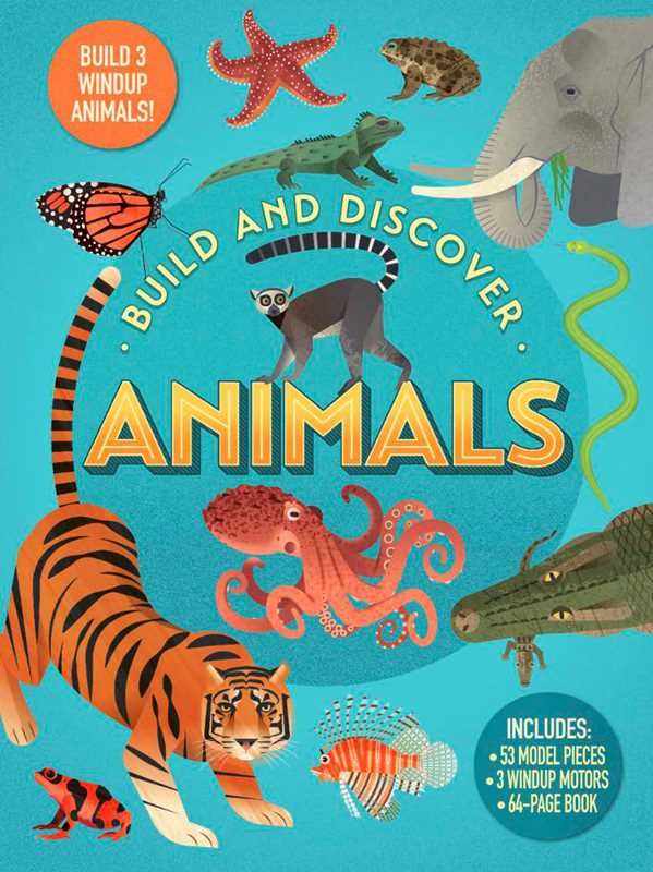 Build & Discover Animals FINAL SALE