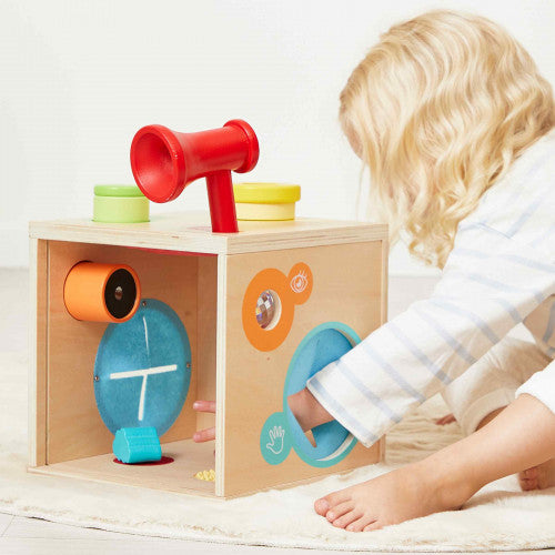 Sensory Multi- Activity Box