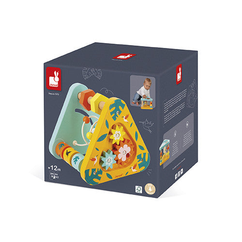 Multi-Activity Triangle