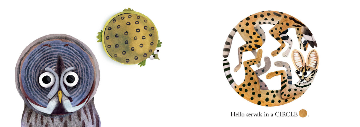 Hello Hello Shapes