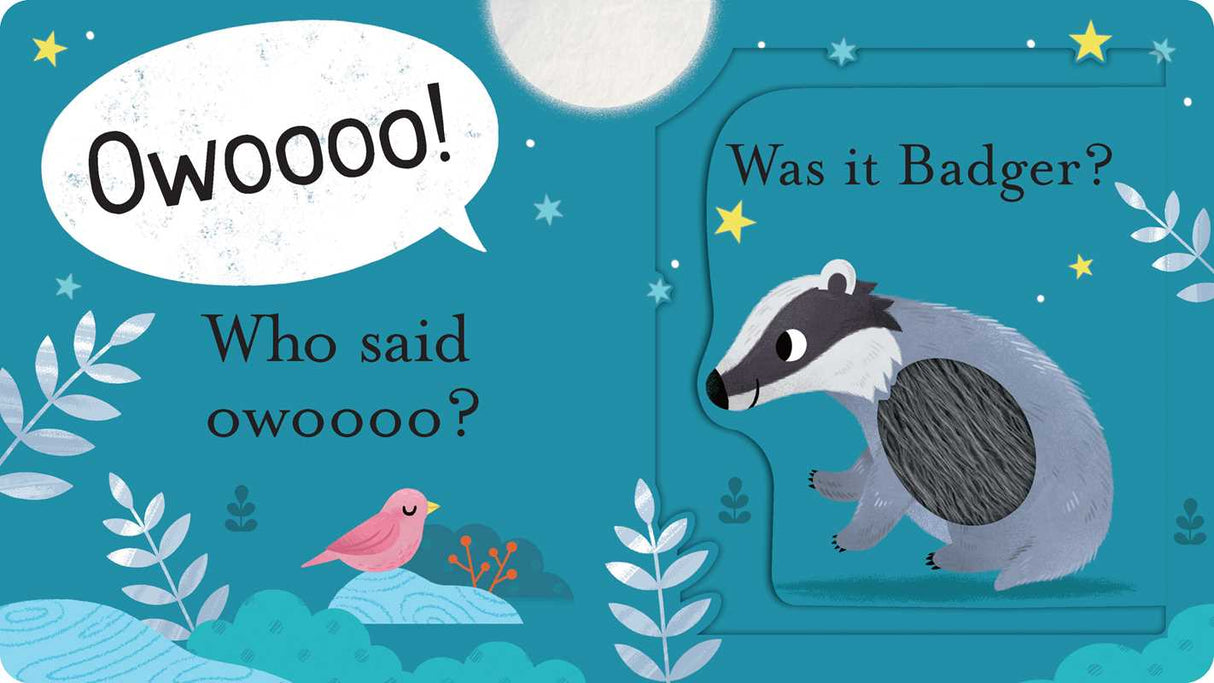 Who Said Hoot?