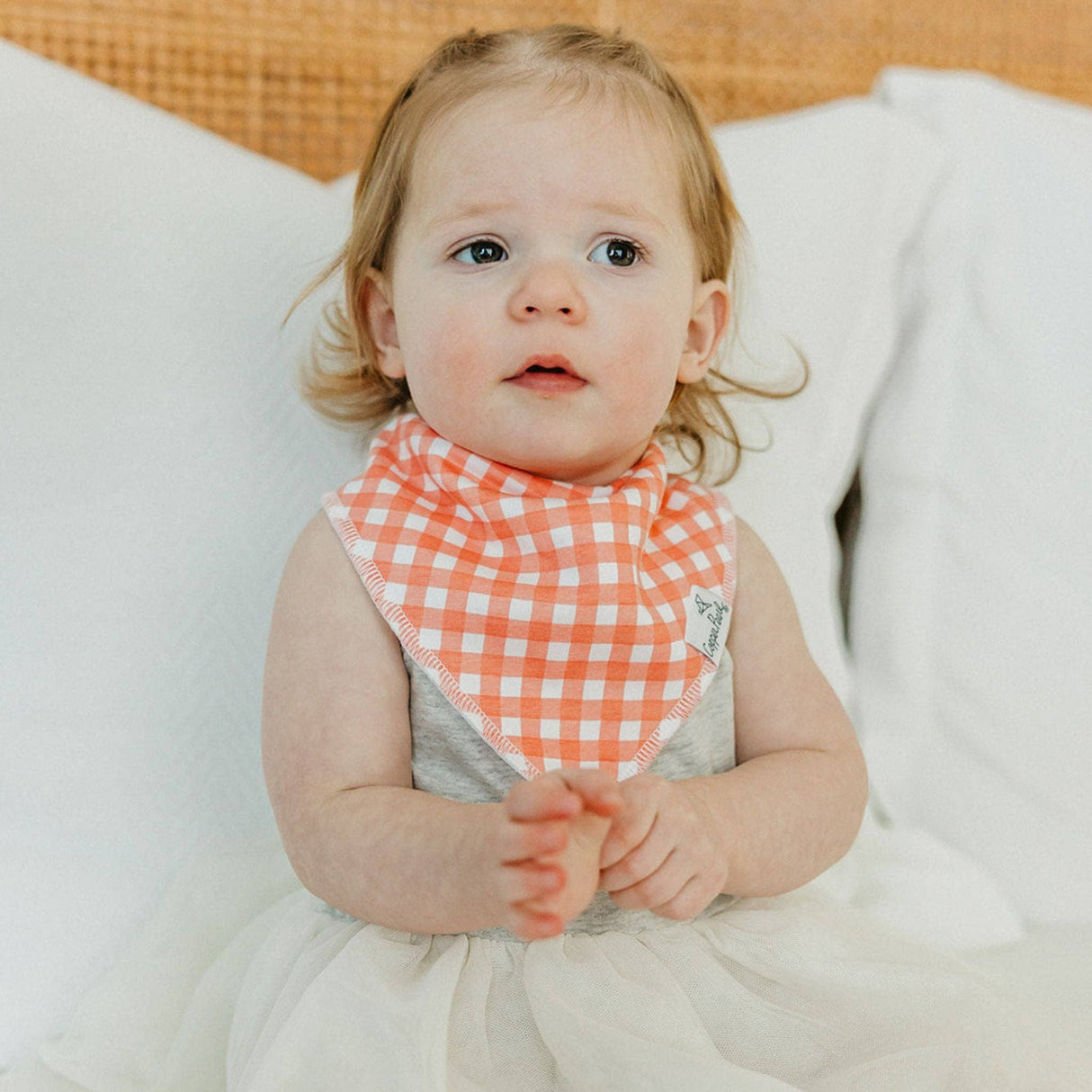 Baby Bandana Bibs - Goosie