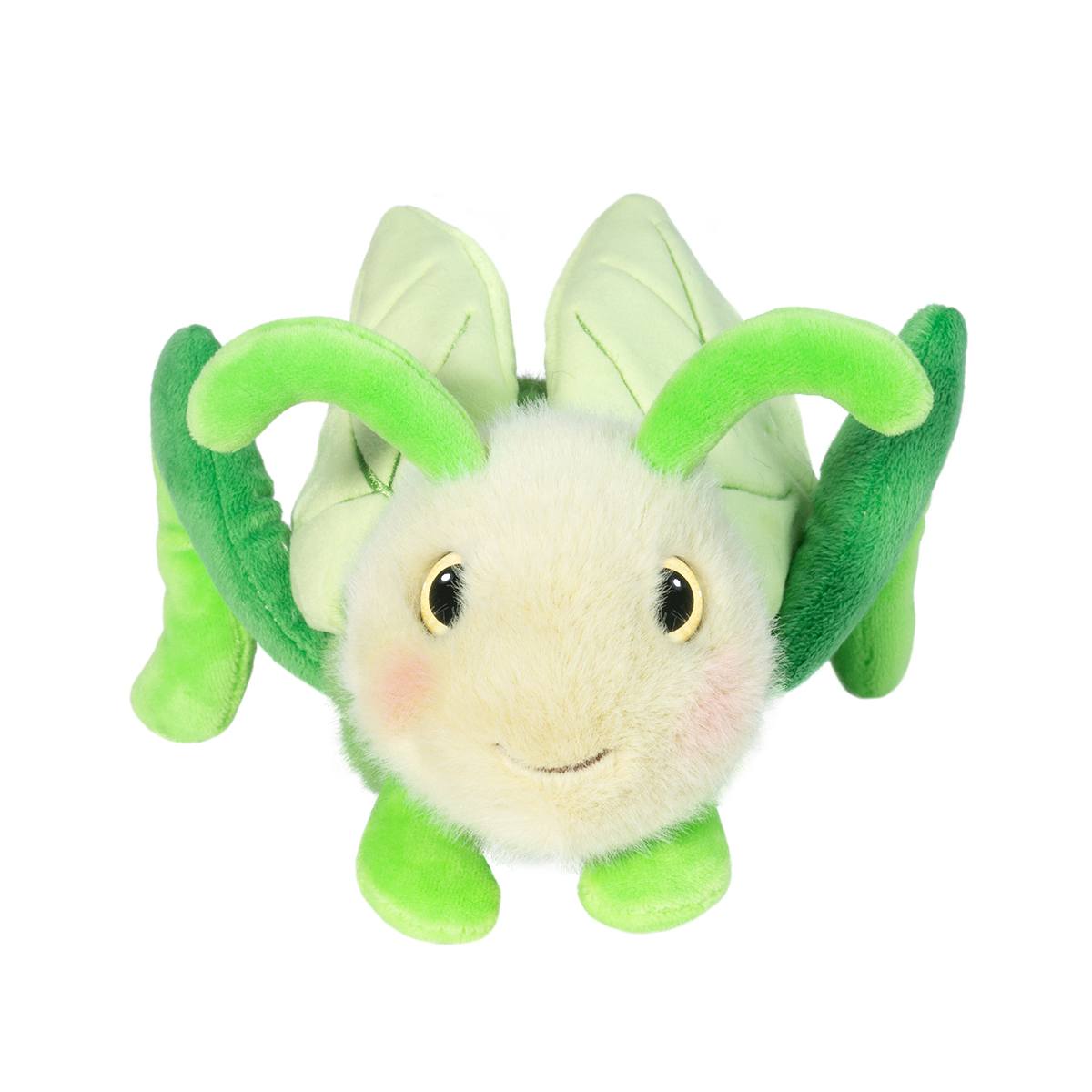 Kady Grasshopper