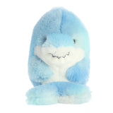 Rolly Pets Sutton Shark