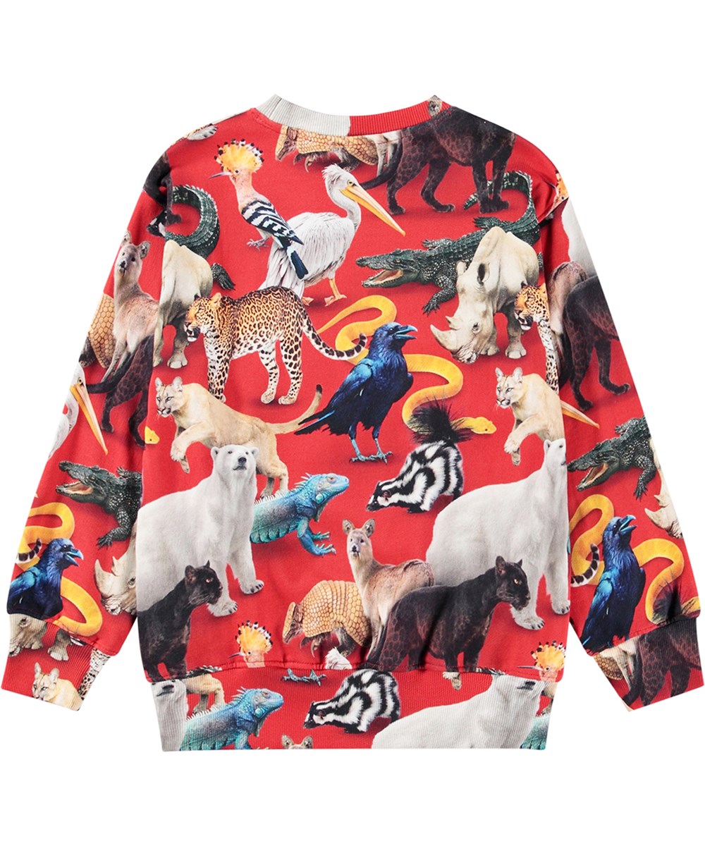 Molo Mattis Pullover - Animal Mix FINAL SALE