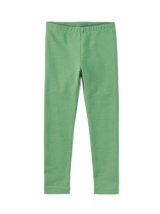 Solid Leggings - English Ivy