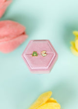 Pierced Co. Screwback Earrings - Frog & Lily Pad