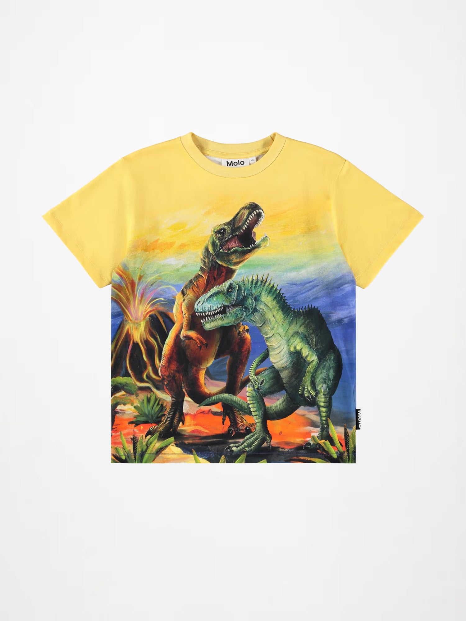 Molo Riley Tee - Dino Art