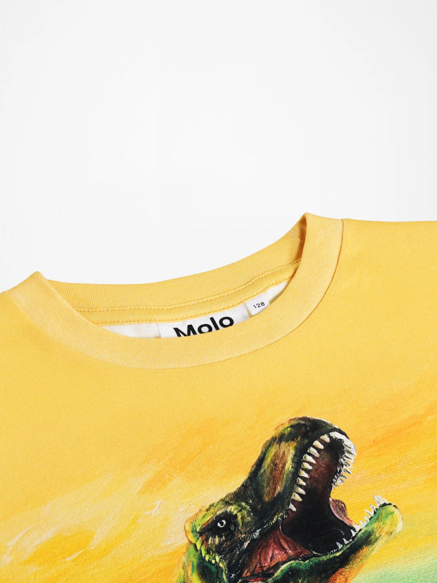 Molo Riley Tee - Dino Art
