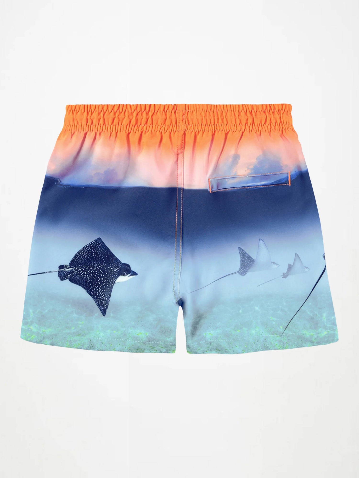 Molo Niko Swim Trunks - Into the Sunset